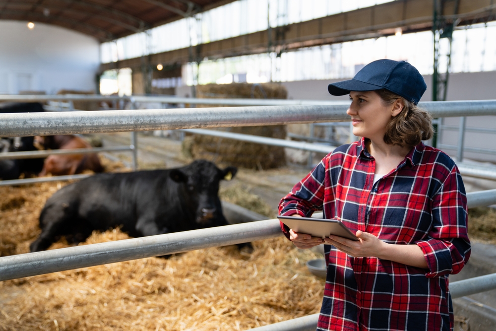 Weighing-Your-Options-Your-Livestock-Scale-Buying-Guide.jpg